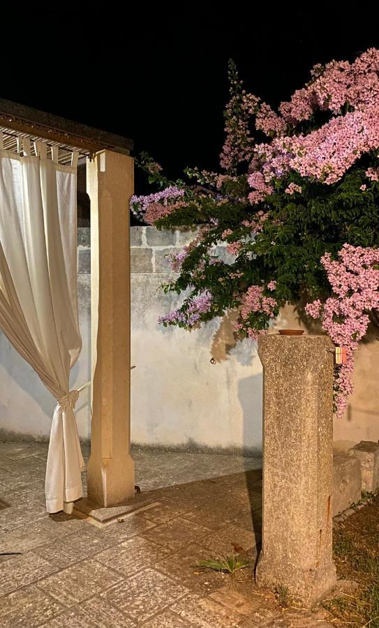 Masseria Montanari การ์ปิญาโน ซาเลนติโน ภายนอก รูปภาพ